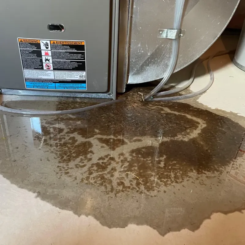 Appliance Leak Cleanup in Sylacauga, AL